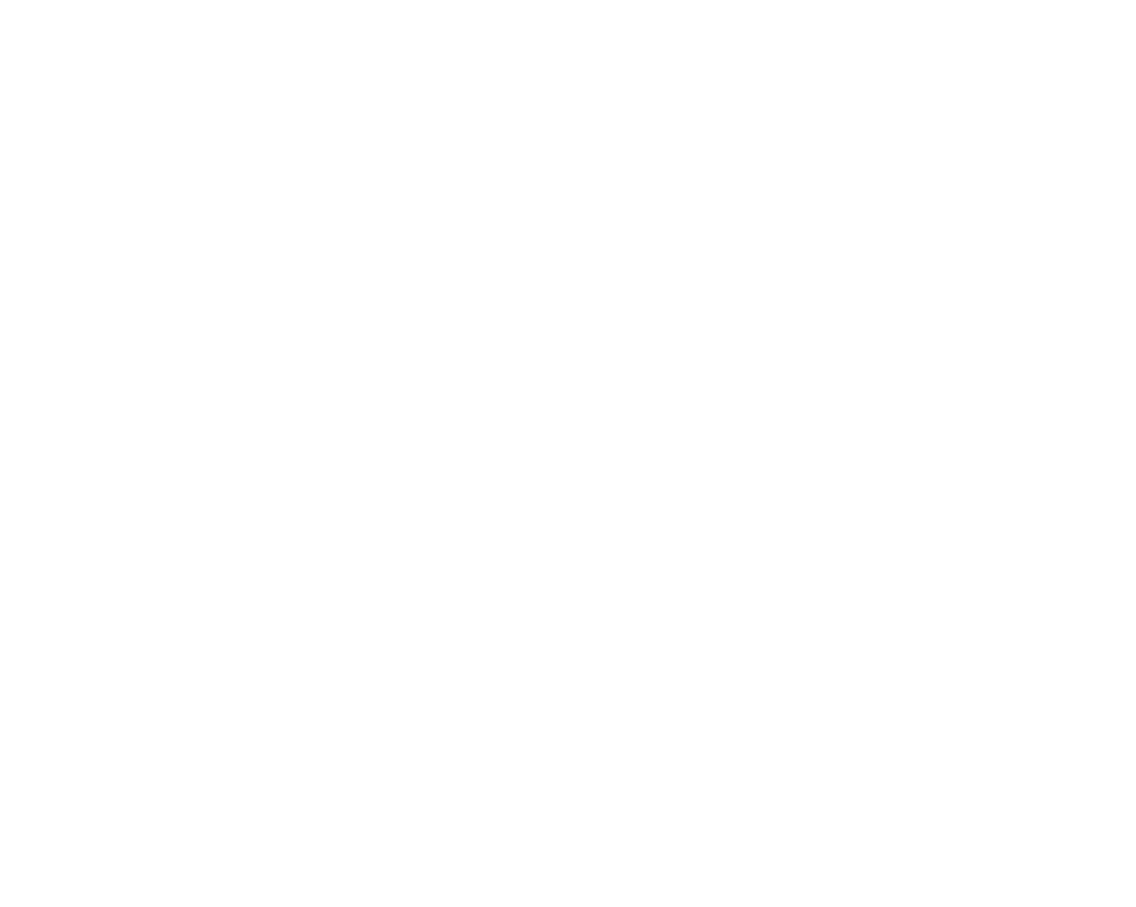 Logo blanc Plaizance conciergerie nautique